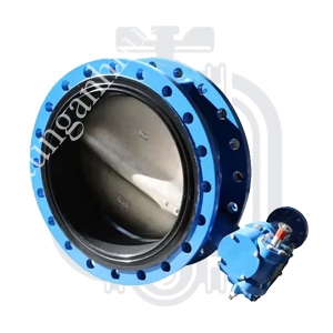 Van bướm mặt bích