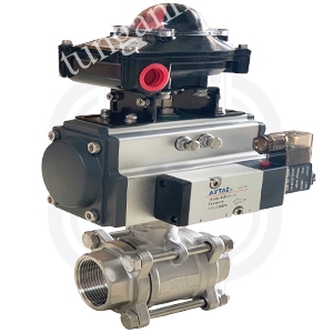 Van bi ren inox điều khiển khí nén