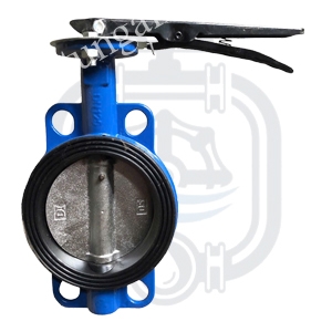 Van bướm tay gạt TQ