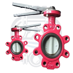 Van bướm tai bích